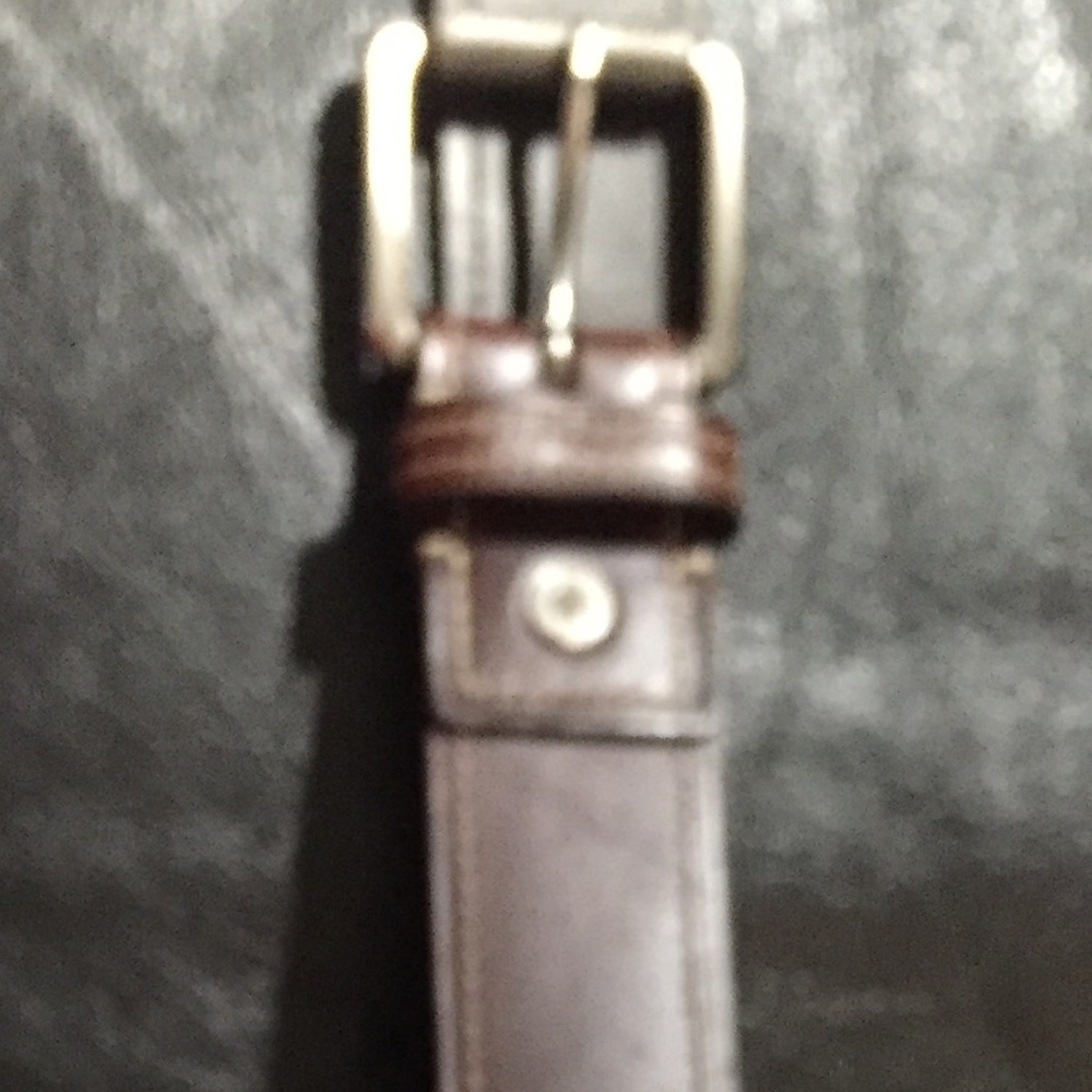 Coach Belt